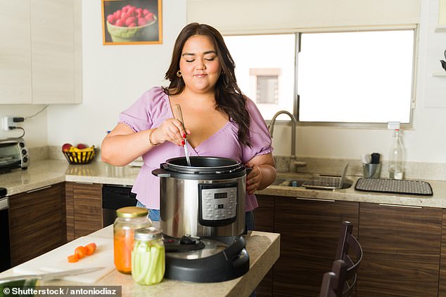 While the actual pot of a pressure cooker can go in the dishwasher, a lid should always be hand washed (stock image)