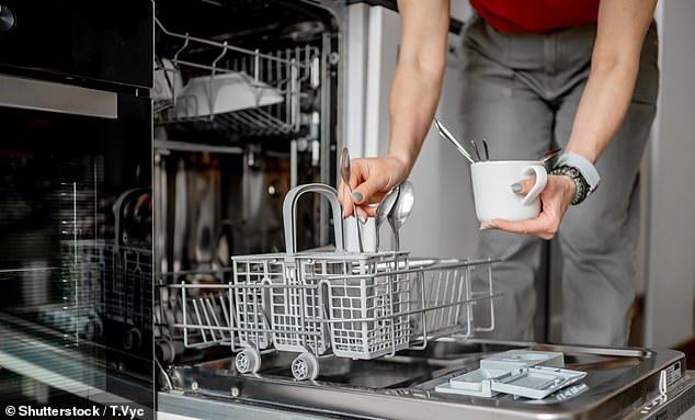 Experts from Which? have compiled a list of unexpected items than you can and can't put in the dishwasher (stock image)