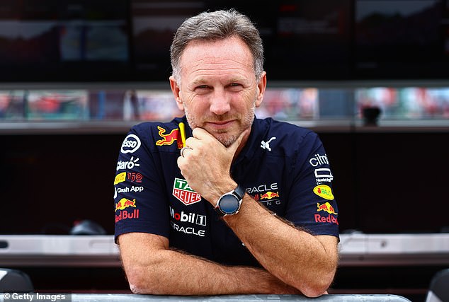 Daily Mail Sport revealed this week that Horner is under consideration to replace team principal Frederic Vasseur