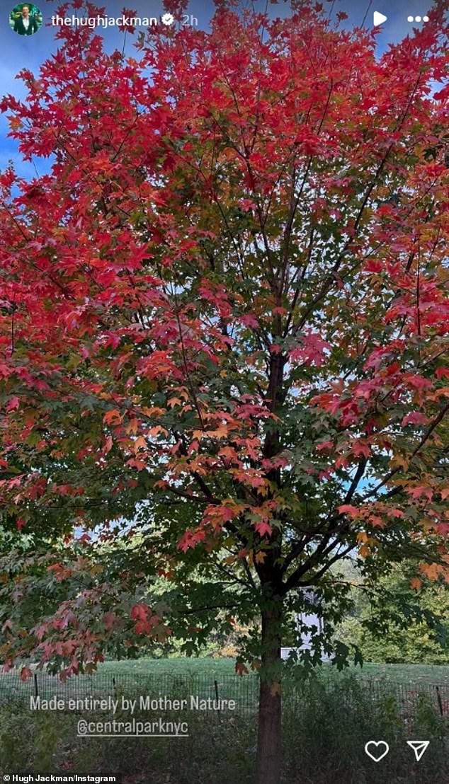 Jackman was also embracing the great outdoors on his Instagram Stories