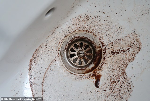 Coffee grounds and milk act like glue, which holds together fats and other substances that contribute towards blockages (stock image)