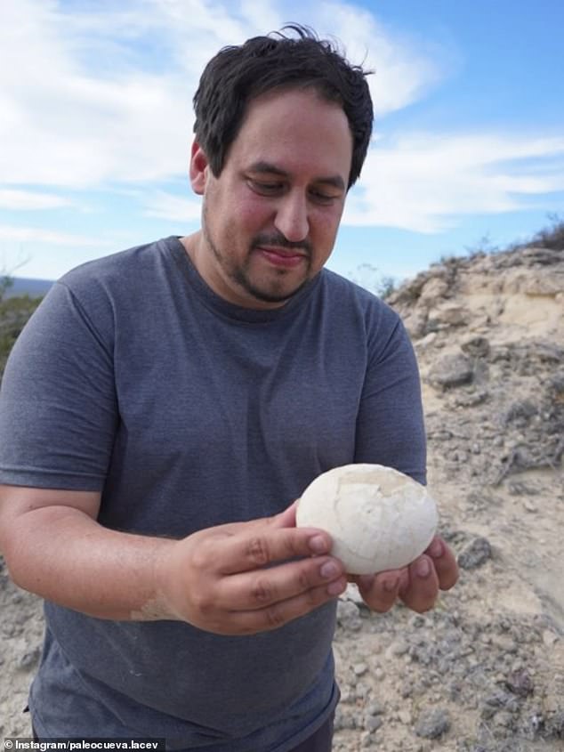 Pictures from the site show group leader Federico Agnolín stumble across the egg, which appeared to be resting on the surface of the dusty ground