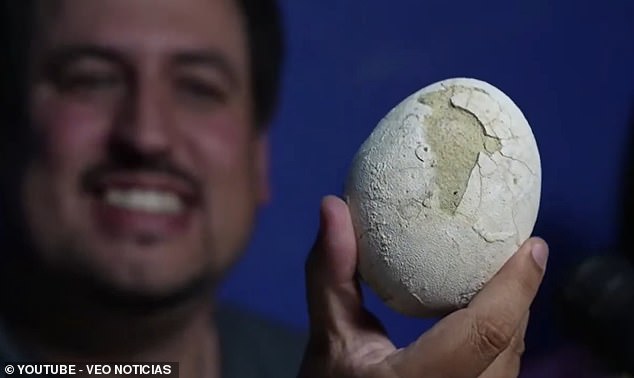 Federico Agnolín proudly shows off the incredible fossilised egg. The team said they don't yet know if it holds embryonic material