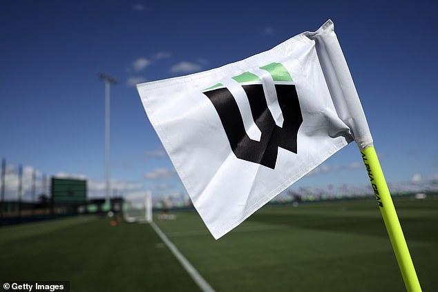 It was revealed in May that American firm KAM Sports had been in talks with Western Melbourne Group to take a controlling stake in the A-League side, worth $100million, but the company pulled out of the deal
