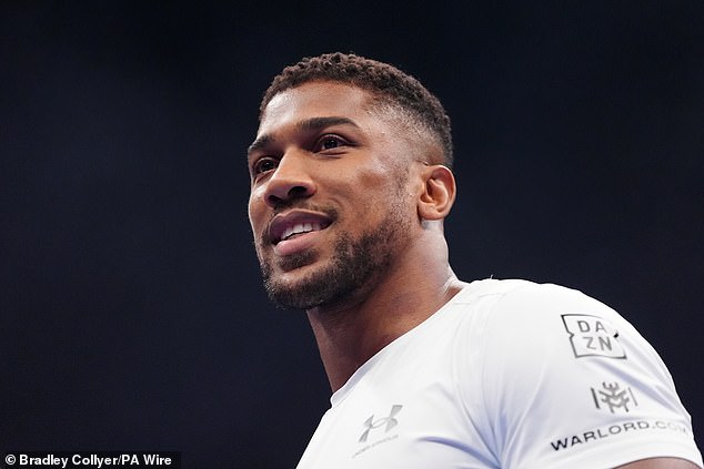 AJ could be back in action at the end of this year on the undercard of an existing bill