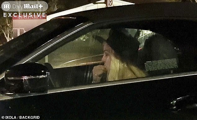 At a stoplight, she appeared agitated, gesturing wildly