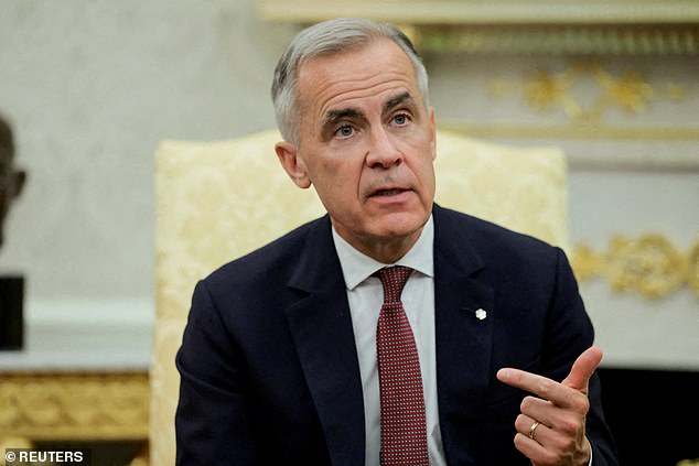 Ford has now created a mess for Prime Minister Mark Carney (pictured), who leads Canada's left-leaning Liberal Party, Ford's Conservatives' biggest competition