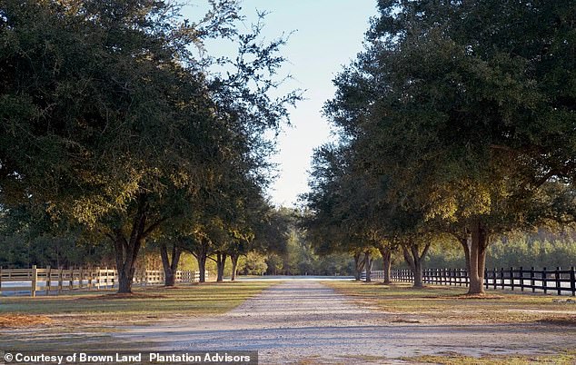The property is excellent for horse lovers, as it offers about 10 acres of fenced-in pasture, the listing states