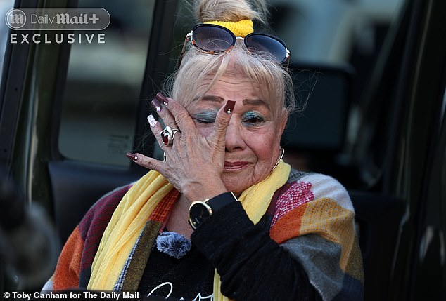 Lilly Denes, 75, says she hasn’t seen her granddaughter in four years because the girl’s mother, Ashlee, has intentionally kept her hidden from family - including her half-sister and uncle