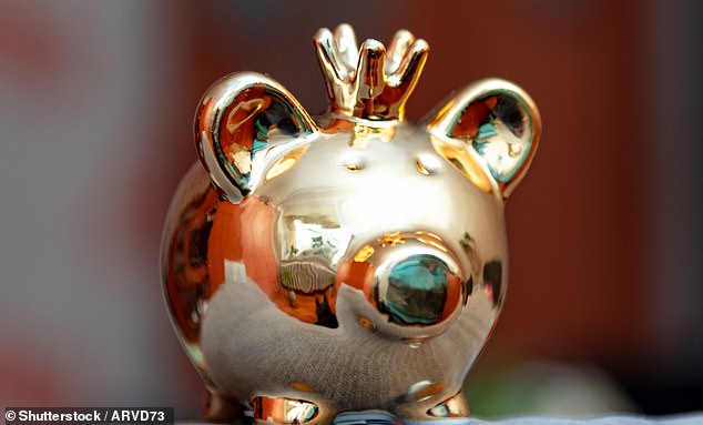 Gold piggy: There are thousands of investors who have made the dream of becoming an Isa millionaire a reality