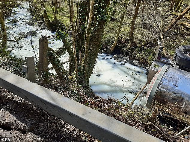 Scientists say there would need to be a 'catastrophic' amount of milk to cause serious damage. An event on this scale occurred in 2021 when a milk tanker tipped into the River Dulais in Llanwrda, Carmarthenshire (pictured)