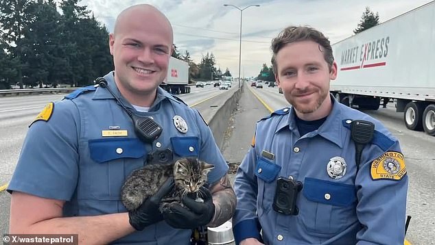 Troopers Bonner (right) and Fath (left) responded to calls about a kitten stranded on Interstate 5