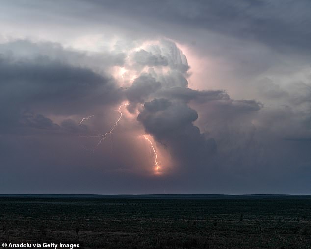 As everyone moved indoors, Danny told his son to go close the garage door and went to help him. When he touched the metal door, lightning struck him. 'It went in his hand and out his feet,' Lisa, a nurse, told the Daily Mail (pictured: stock image)