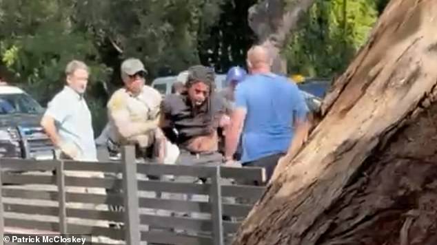 Police took the attempted mugger into custody