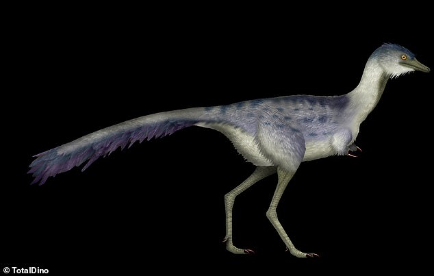 Previous research suggests this is what Bonapartenykus may have looked like (artist's impression)
