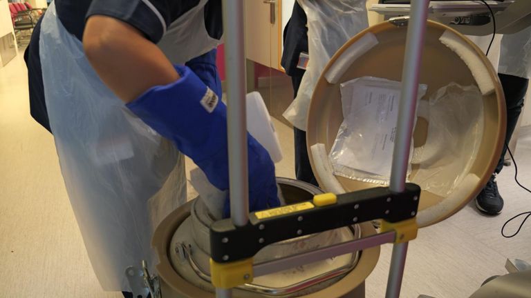 The cells were frozen in liquid nitrogen, thawed, and then infused into Emily's bloodstream