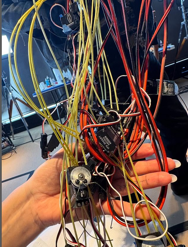 The quirky costume involves tons of wire