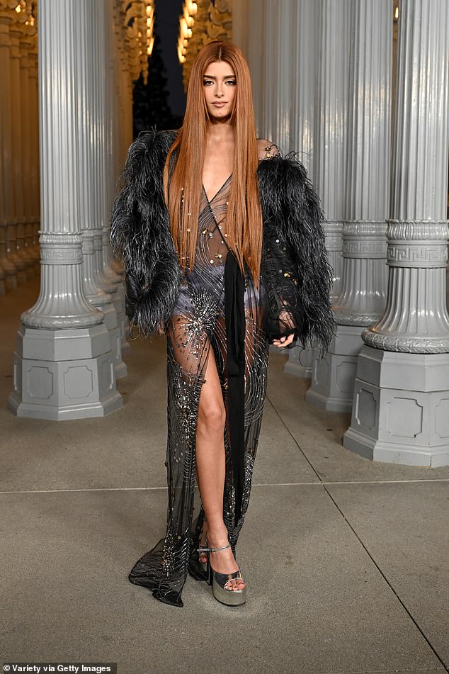 Dixie D'Amelio wore an over-the-top sheer black dress, and her long pint-straight red hair just barely protected her chest from being exposed