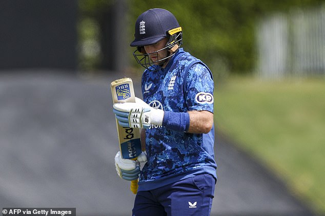 England batsmen, including Joe Root, struggled for runs but Brendan McCullum believes they will benefit from the experience as the Ashes approaches