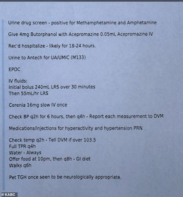 Tobie's lab results that show she tested positive for methamphetamine and amphetamine in her system