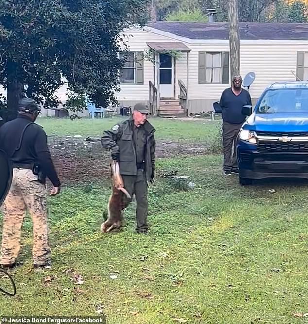 Bond Ferguson said she and other residents had been warned about diseases that the escaped monkeys carried so she fired her gun. The Sheriff's Department carried the animal away
