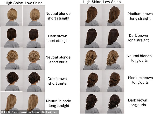 High- and low-shine versions of 10 hair types, created from manipulations of natural hair wigs. Participants were asked to rate each style on how young, healthy and attractive they believed it looked