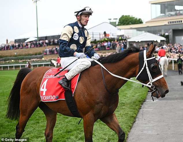 Buckaroo comes from the UK, so running in the wet on sodden tracks is par for the course for this stayer