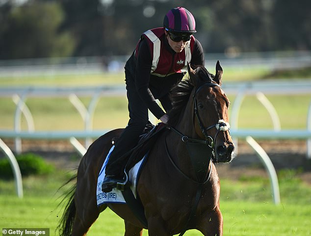 Goodie Two Shoes faces a tough task with an unfavourable saddlecloth number and barrier draw