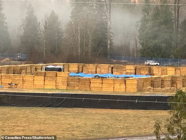 The owners said they heard hundreds of gunshots overnight. More than 300 birds are dead, and their bodies are still in the pen under tarps