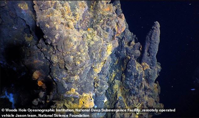 Scientists don't know yet whether the planet hosts life, but any life that does exist might look similar to that found around hydrothermal vents in Earth's deep oceans