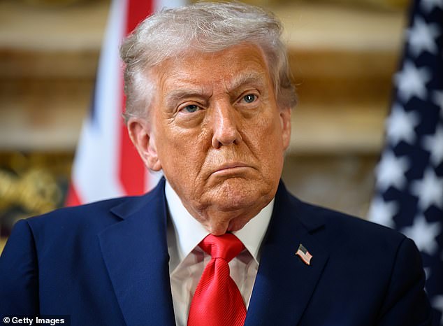 'Melania is a very different speaker to her husband, who specializes in a spontaneous, often stream-of-consciousness, rambling delivery with jokes and asides,' James told Daily Mail