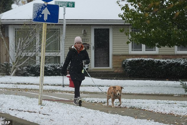 One particularly fierce snowband dumped up to 12 inches of snow in just six hours over Momence, Illinois, a town about 50 miles south of Chicago. Pictured is Northbrook, Illinois on Sunday