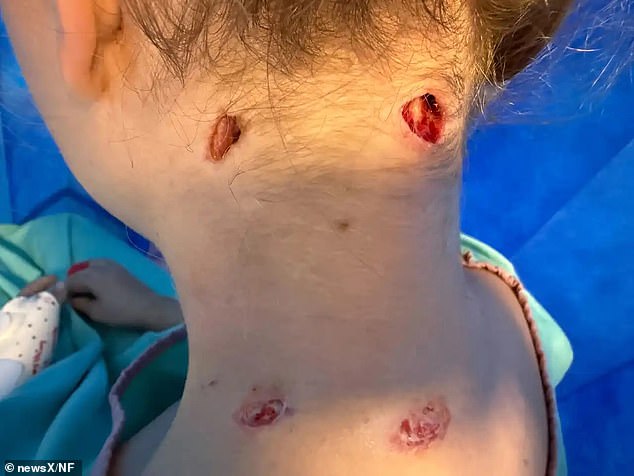 Swedish volunteer Naemi Boy from Malmo was accompanying a group on a horse safari in Tzaneen when the horrifying incident took place