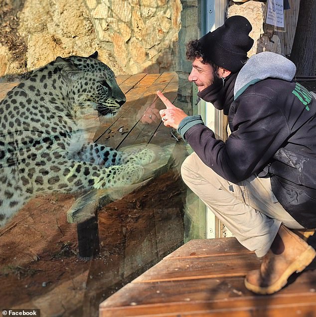 Uriel Nuri (pictured, with a leopard) was pronounced dead after suffering wounds to his neck and upper body at Jerusalem Biblical Zoo in August