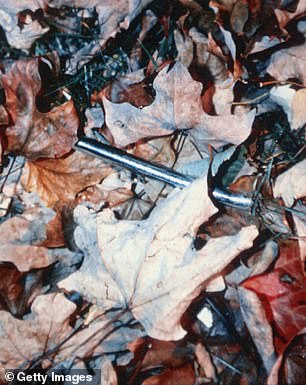 Her killer then drove it through her neck