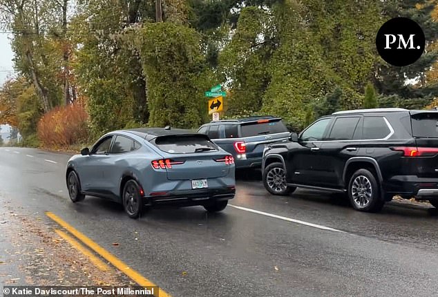 The woman allegedly ran a red light, nearly struck a school bus and wove through traffic as she tried to box in ICE vehicles with her car