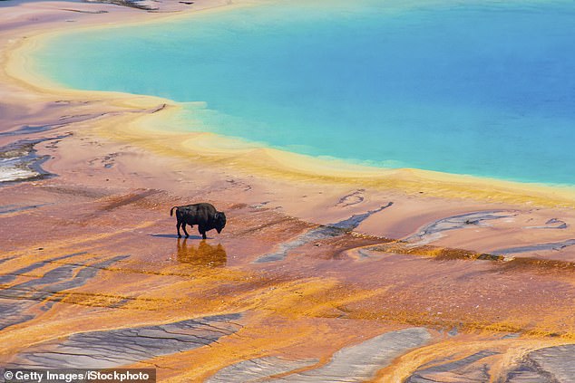A 50-square-mile stretch of land in Idaho is desolate with no residents, meaning no one could be called to sit on a jury if a crime was committed there