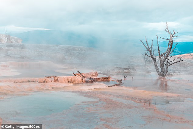 Yellowstone is one of the few national parks designated as federal land, meaning states cannot prosecute crimes committed there