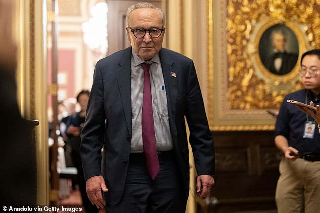 Schumer has faced backlash from within his own party after eight members of his caucus  voted with Republicans to advance a stopgap measure to kickstart government again