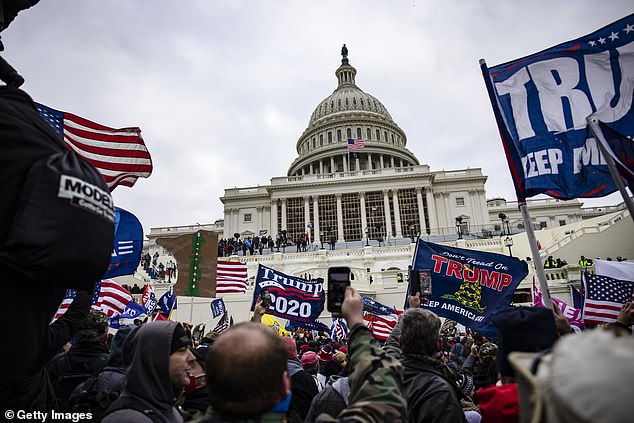 Piker said while he 'cares about people,' he finds it 'hard to comprehend' the passion for a nation in particular. Pictured: Pro-Trump demonstrators