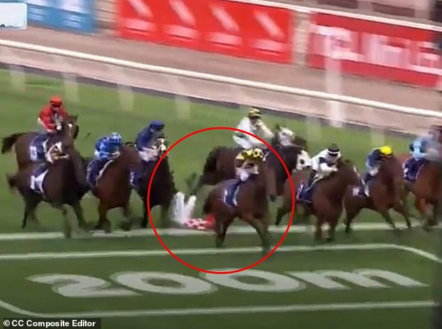 It came after she admitted to riding carelessly during a Group Three race at Flemington that saw Blake Shinn (pictured) fall from his horse and break his leg