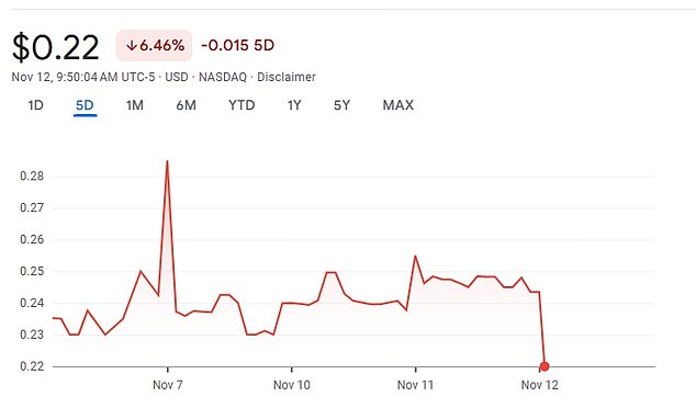 Polestar's stock dropped in early morning trading after the company's CEO announced plans for a reverse stock split