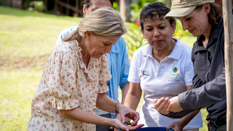 Sophie also took part in a turtle release. Pic: PA