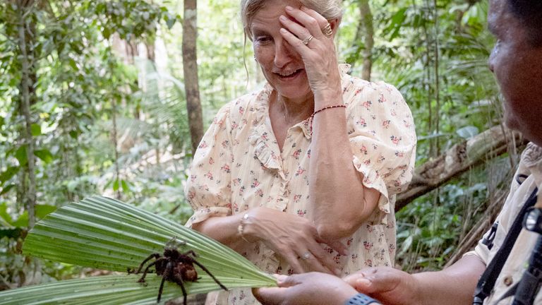 The Duchess of Edinburgh with a green anaconda snake and a Goliath birdeater spider. Pics: PA