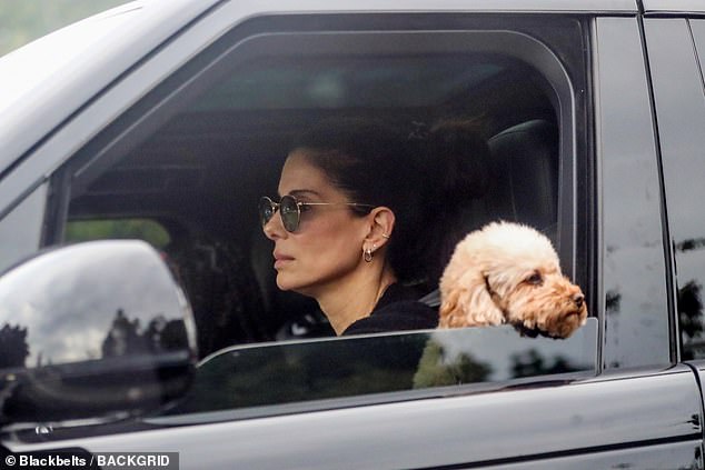 Louis was in fact the reason Bullock and Randall first met - she hired him as a photographer to take pictures of her son's birthday party