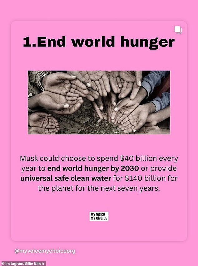 One slide claimed Musk could spend $40 billion a year to end world hunger by 2030, or $140 billion to supply safe drinking water to the entire planet for seven years