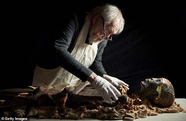 King Tut's body was also dismembered, with the limbs sawed and broken apart at each of the joints