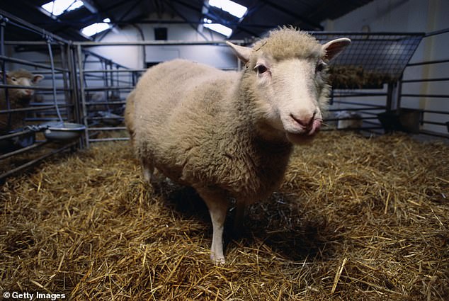 The first-ever cloned animal, Dolly, was born at the Roslin Institute in Edinburgh in July 1996 and announced to the world on February 22 1997