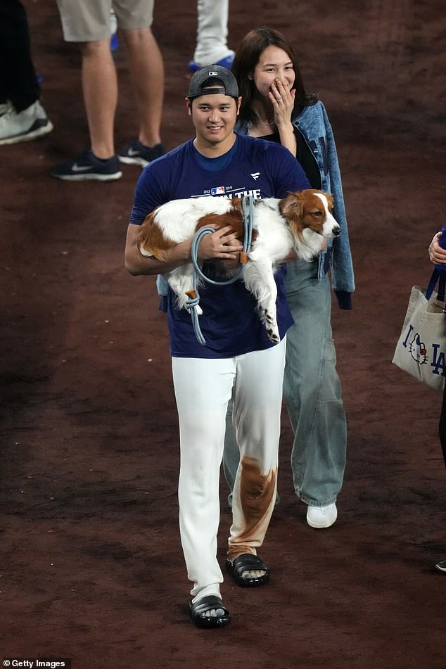 Shohei Ohtani of the Dodgers walks with his dog Decoy and his wife Mamiko Tanaka in 2024