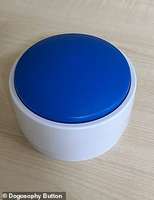 The button has been designed to be easy for dogs to use, with a bright blue colour that is easy for pooches to see